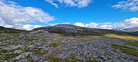 ghhanssen_20220906_63171f060a7e5.jpg
