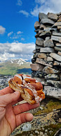 ghhanssen_20220906_63171f15ed521.jpg