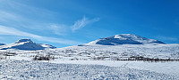 ghhanssen_20230413_643837280e432.jpg