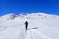 ghhanssen_20230413_6438372b27c0c.jpg