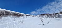 ghhanssen_20230513_645f23f162043.jpg