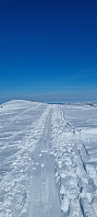 ghhanssen_20230513_645f240d97ffa.jpg