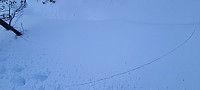 ghhanssen_20230513_645f2e67d5546.jpg