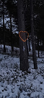 ghhanssen_20230513_645f2e6fcf7ff.jpg