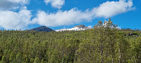 ghhanssen_20230806_64cff0936a091.jpg