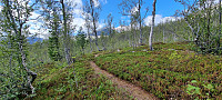 ghhanssen_20230806_64cff097088d4.jpg