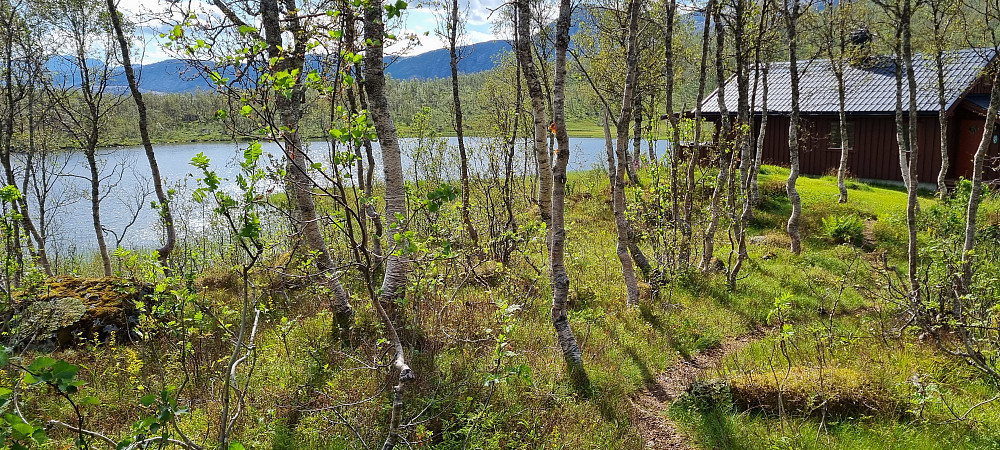Ca en km med sti opp til hyttene ved vannet. Gå utenom hyttene. Etter å ha passert hyttene, så er det ikke noe mer sti på denne turen. 