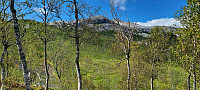ghhanssen_20230806_64cff09c091d4.jpg