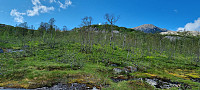 ghhanssen_20230806_64cff09d7596d.jpg