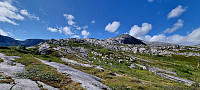 ghhanssen_20230806_64cff0a55f1a8.jpg