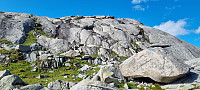ghhanssen_20230806_64cff0b5dd97e.jpg