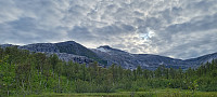 ghhanssen_20230806_64cff1170302c.jpg