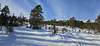 ghhanssen_20240219_65d3ad7d3bbd0.jpg