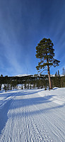ghhanssen_20240219_65d3ad7f153f8.jpg