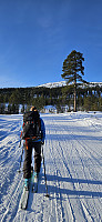 ghhanssen_20240219_65d3b1334f0aa.jpg