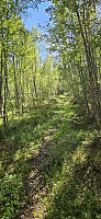 ghhanssen_20240716_6696e307f37be.jpg