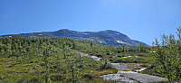 ghhanssen_20240716_6696e3098d6e7.jpg