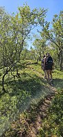 ghhanssen_20240716_6696e31041cc9.jpg