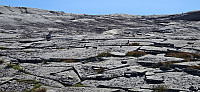 ghhanssen_20240723_669f7ddf3e53d.jpg