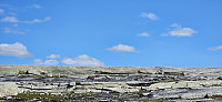ghhanssen_20240723_669f7dfb161ab.jpg