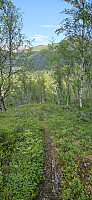 ghhanssen_20240723_669f7e011816b.jpg