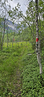 ghhanssen_20240726_66a3df5eb1a10.jpg