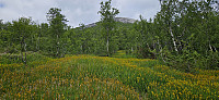 ghhanssen_20240726_66a3df63841bf.jpg