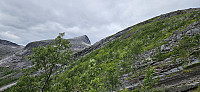 ghhanssen_20240726_66a3df6e1874e.jpg