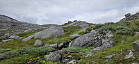 ghhanssen_20240726_66a3df709a2eb.jpg