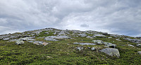 ghhanssen_20240726_66a3df733225c.jpg