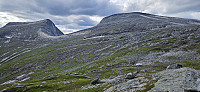 ghhanssen_20240726_66a3df85d9358.jpg