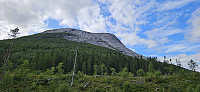 ghhanssen_20240726_66a3df88cc127.jpg