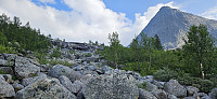 ghhanssen_20240803_66ae9b8f92b7f.jpg