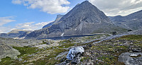 ghhanssen_20240803_66ae9badac224.jpg