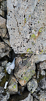 ghhanssen_20240803_66ae9bb701934.jpg