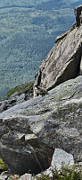 ghhanssen_20240803_66ae9bbd11992.jpg
