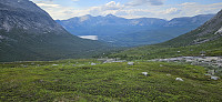 ghhanssen_20240803_66ae9bd270f27.jpg