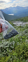 ghhanssen_20240803_66ae9bd49fe79.jpg