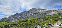 ghhanssen_20240803_66ae9bd71019c.jpg