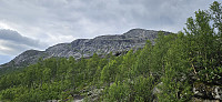 ghhanssen_20240803_66ae9bd84444a.jpg