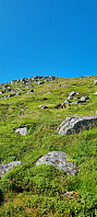 ghhanssen_20240823_66c8647acdad2.jpg
