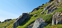 ghhanssen_20240823_66c8647d26d40.jpg