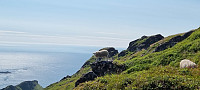 ghhanssen_20240823_66c8648066636.jpg