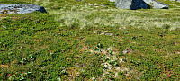 ghhanssen_20240823_66c8648fd055d.jpg