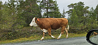 ghhanssen_20240902_66d5513e69e24.jpg
