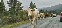 ghhanssen_20240902_66d5513fd27f3.jpg