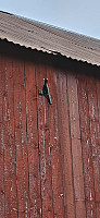 ghhanssen_20240902_66d551423d83f.jpg
