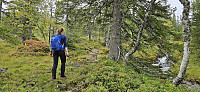 ghhanssen_20240902_66d551454a361.jpg