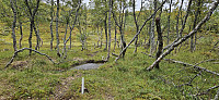 ghhanssen_20240902_66d551484680d.jpg