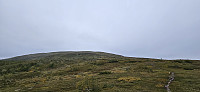 ghhanssen_20240902_66d5514ab5422.jpg